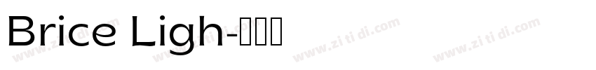 Brice Ligh字体转换